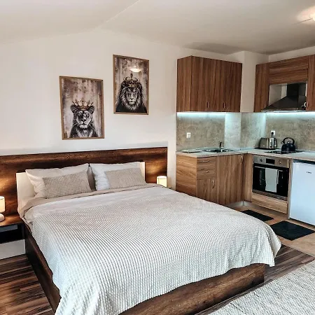 Apartamento Pirin *